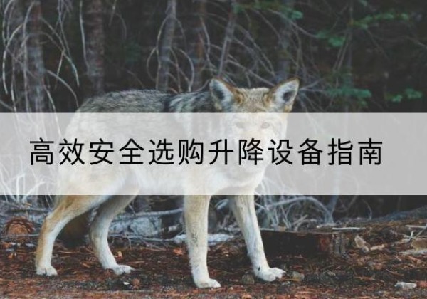 贡山升降货梯厂家推荐-*安全选购升降设备指南