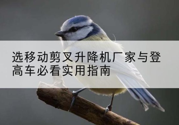 贡山电动升降机厂家-选移动剪叉升降机厂家与登高车必看实用指南