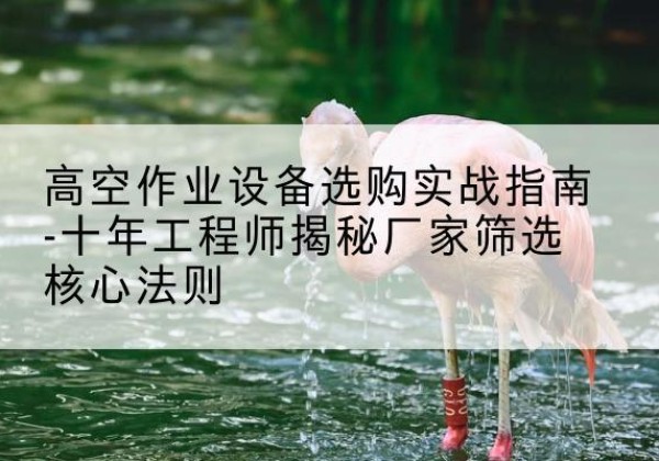 贡山剪叉式升降机厂家-高空作业设备选购实战指南-十年工程师揭秘厂家筛选核心法则